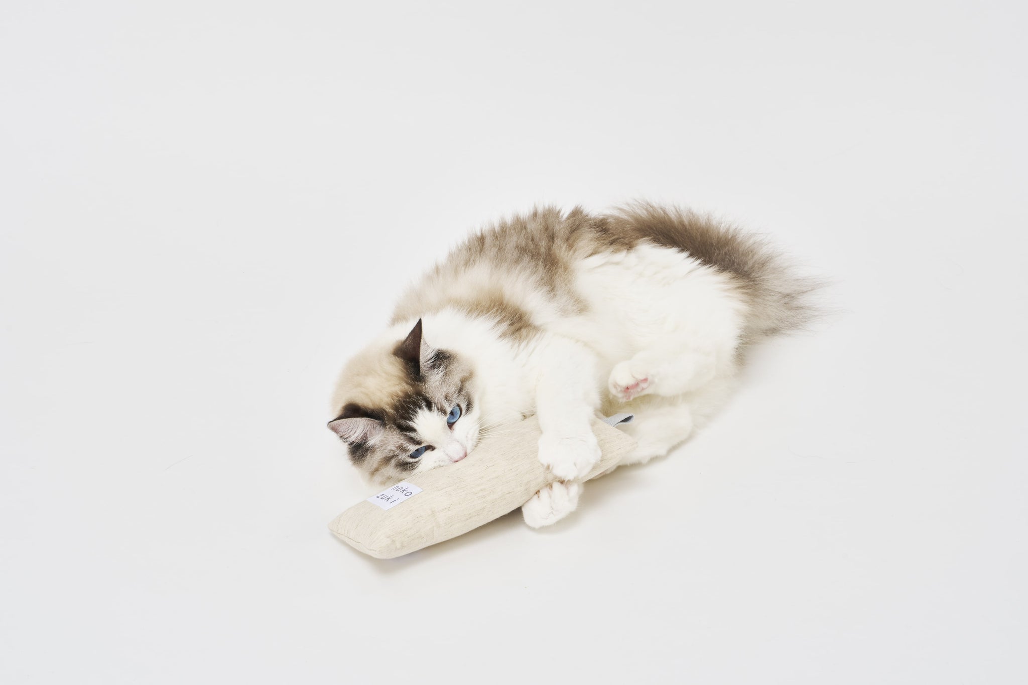 Nekozuki | Solutions for Cat Problems – nekozuki