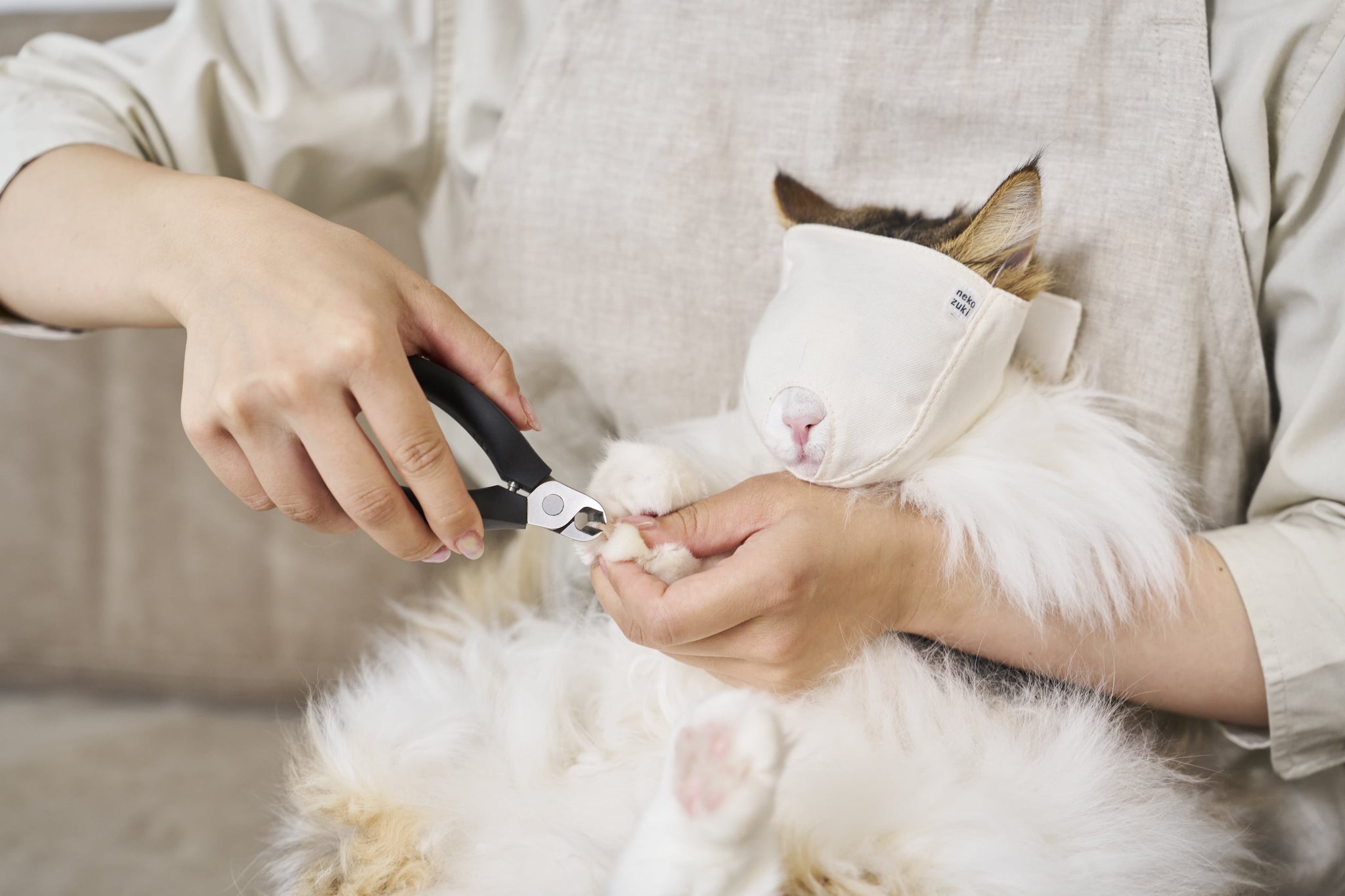 top_about_bg_1_607fc62f-77be-