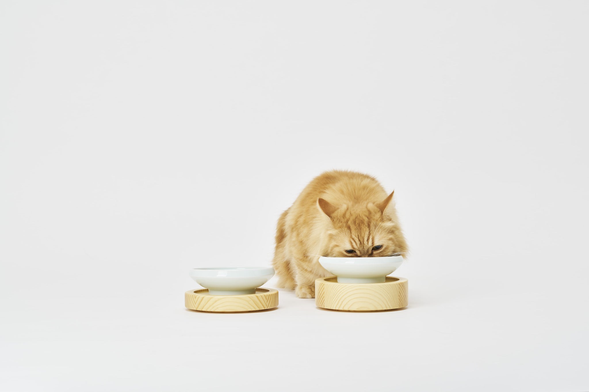 Collections – nekozuki