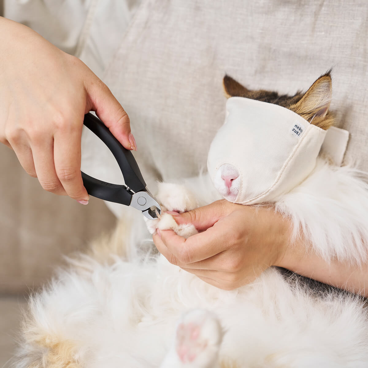 G_89168_2048x.jpg?v=1674206114