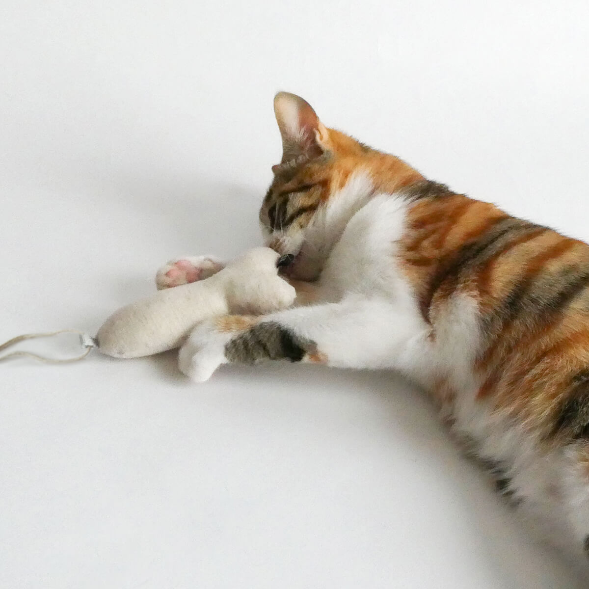 Cat Toy Shrimp | Handmade Cat Toy, Organic Catnip and Silvervine, Cat Lover  Gift | The Catnip Calico